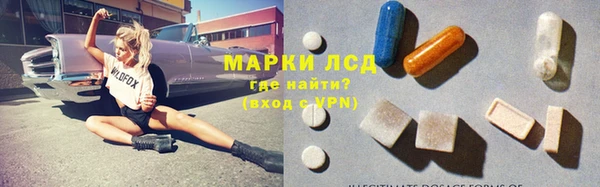 шишки Верхний Тагил