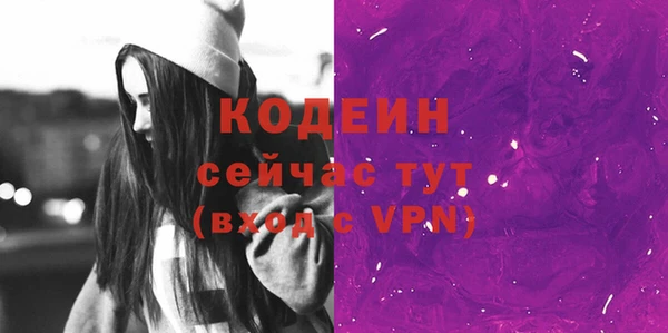 шишки Верхний Тагил