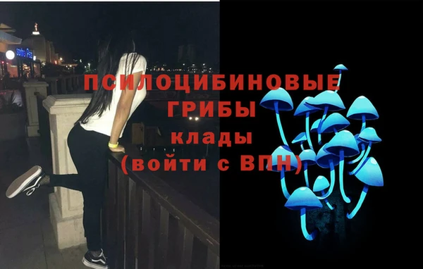 шишки Верхний Тагил