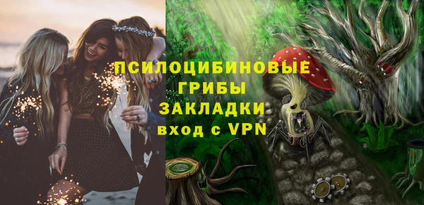 шишки Верхний Тагил