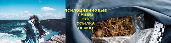 шишки Верхний Тагил