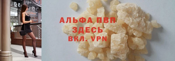 шишки Верхний Тагил