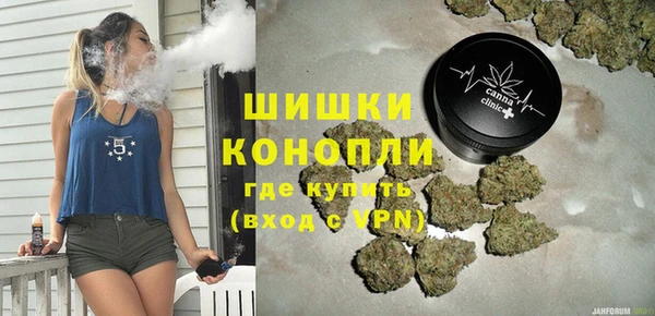 шишки Верхний Тагил