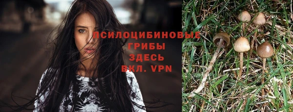 шишки Верхний Тагил