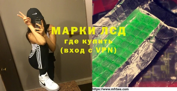 шишки Верхний Тагил