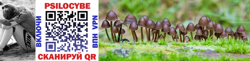 Галлюциногенные грибы Psilocybine cubensis  Первоуральск 