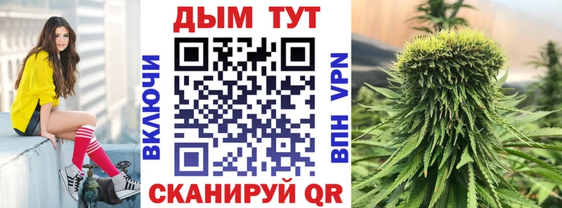 Марихуана план  нарко площадка Telegram  Первоуральск  сколько стоит  KRAKEN  